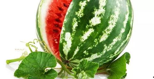 黑料正能量 热门大瓜在线,揭秘热门大瓜背后的真实故事